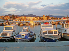 Aegina in Greece Aegina in Greece