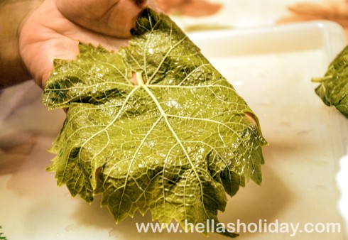 Vine leaf laid with the nerves facing upwards