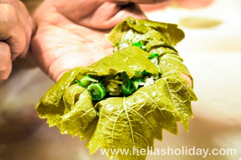 Vine leaf rolling - Step 1