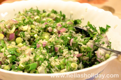 Spring onion, fresh dill, red onion and rice